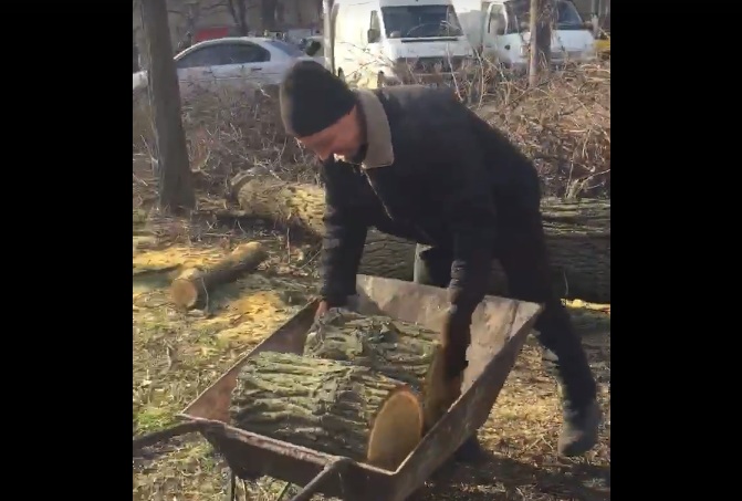 В парке Пушкина массово пилят деревья и свозят их в храм РКЦ