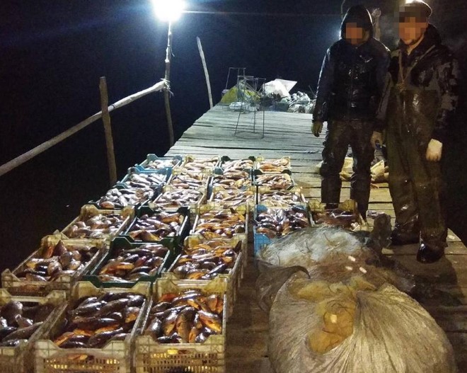 В Запорожской области задержали браконьеров с уловом на 70 тысяч (ФОТО)