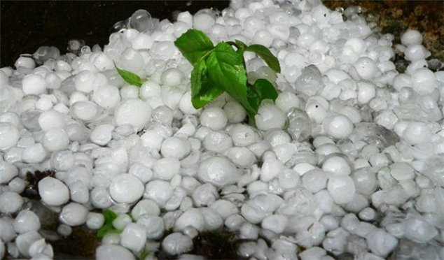 Град собирали ведрами: фото, видео непогоды в Запорожской области