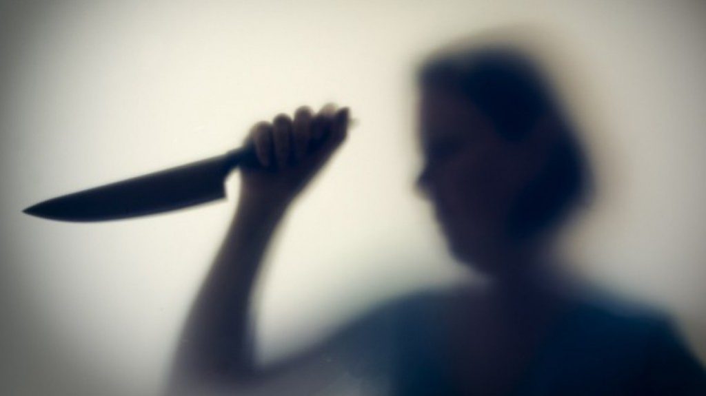 16 ножевых: мать пятерых детей жестоко расправилась с пенсионером в Запорожской области