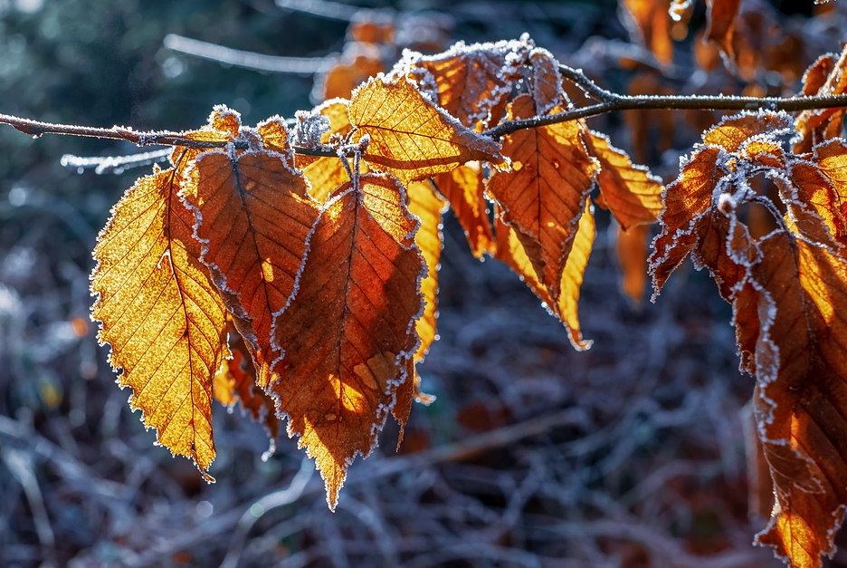 В Украину идет мощное похолодание: какой будет погода в Запорожье