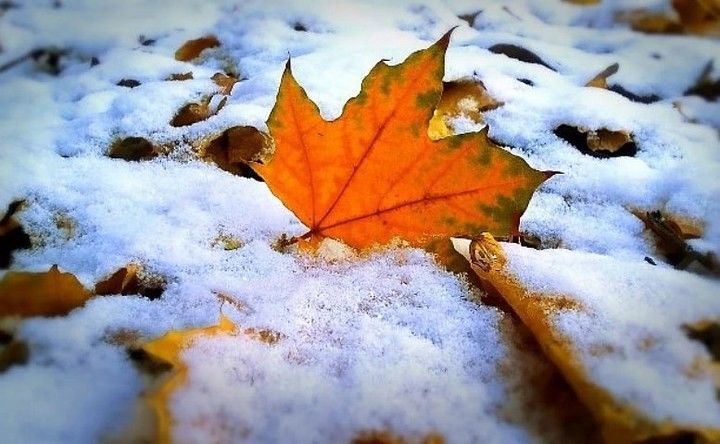 Ждать ли Запорожью снег в ноябре