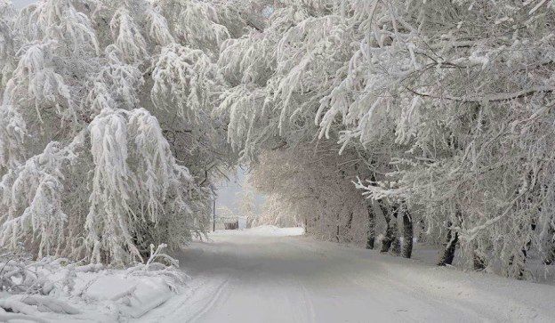 Несколько областей Украины засыпало снегом: в сети опубликовали фото