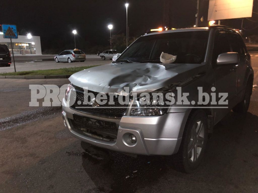 Женщина скончалась в больнице: очередное ДТП с пьяным водителем в Запорожской области (ФОТО)