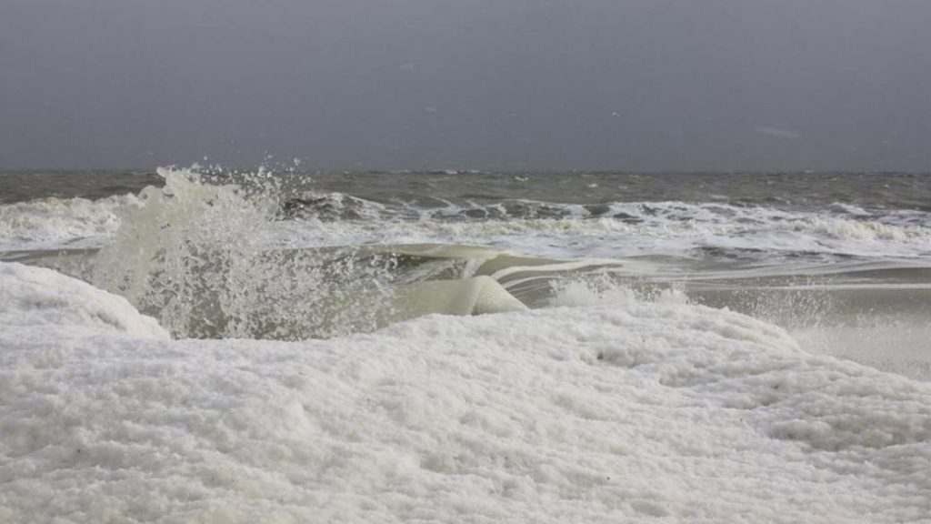 «Cappuccino Coast»: на запорожском курорте заметили редкое явление (ФОТО)