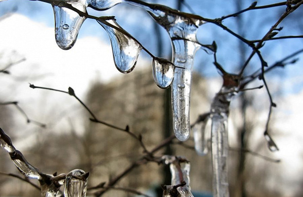 Какая погода ожидает жителей Запорожья и области в последние выходные января