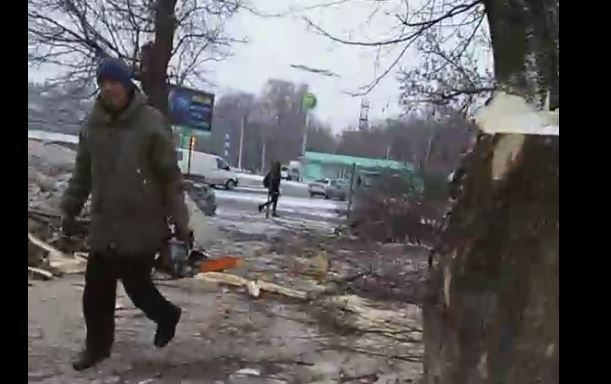 В Запорожье задержали «черного лесоруба», пилившего деревья по поддельным документам (ФОТО)