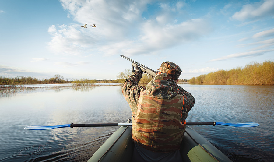 539 зайцев, 333 фазана и 27 лис убили в Запорожской области (ОТЧЕТ)