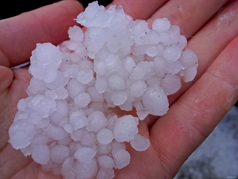 В Запорожской области запечатлели необычное природное явление для марта (ВИДЕО)