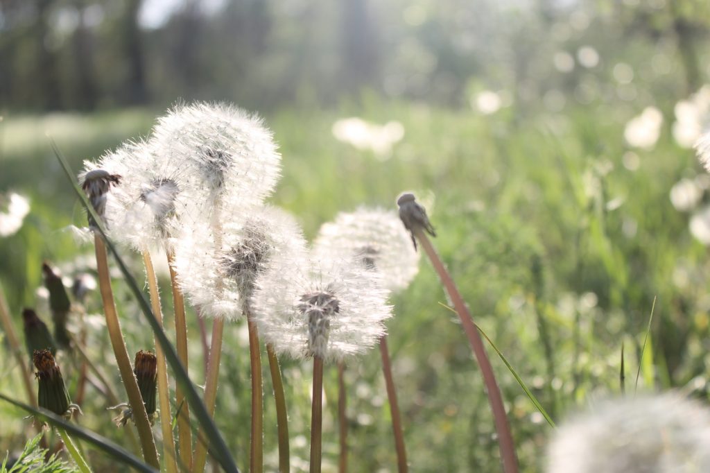 На майские праздники запорожцев ожидает почти летняя погода