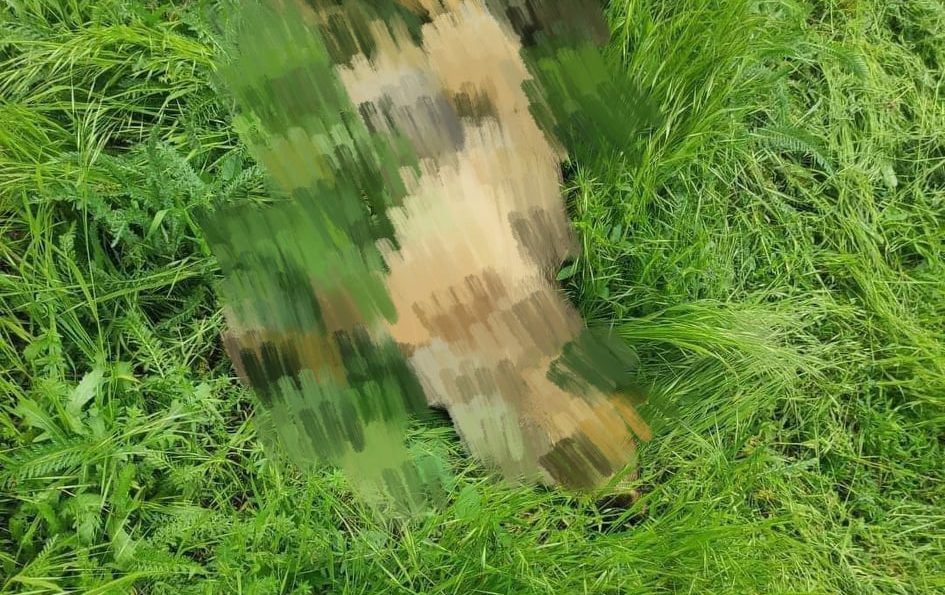 Массовое отравление собак под Запорожьем: свидетели рассказали о мучительной смерти (ФОТО)