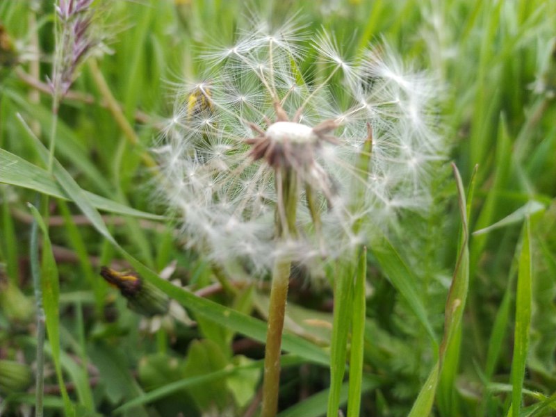 Погода в Украине: тепло пока задерживается