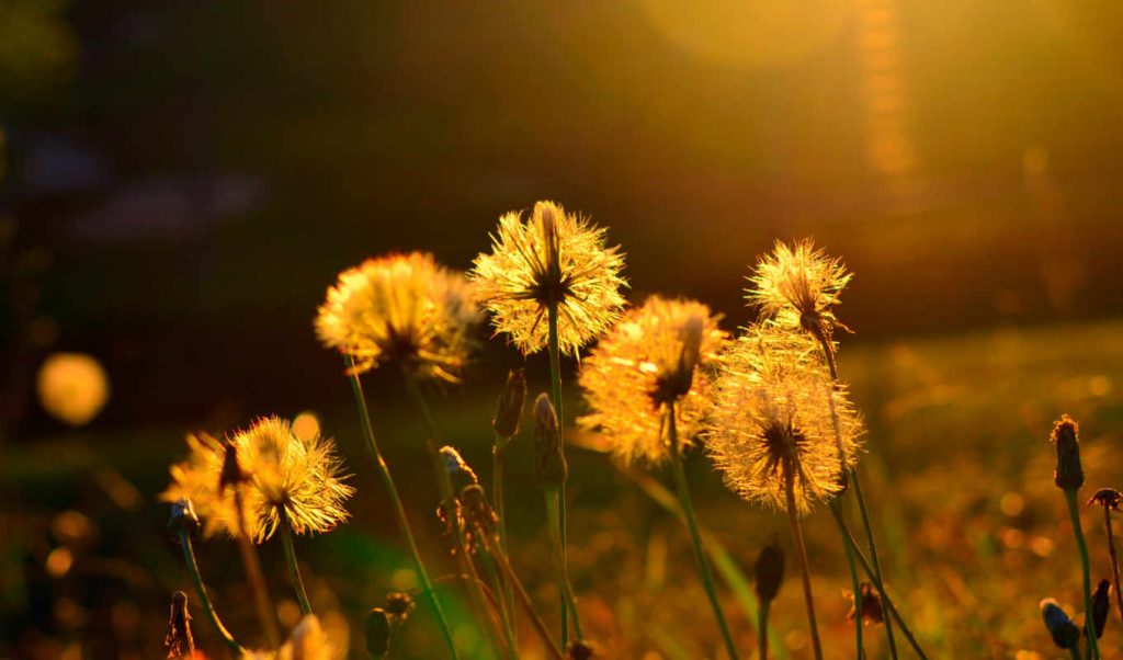 После сезона дождей и похолодания в Украину ворвется настоящая жара: назвали дату