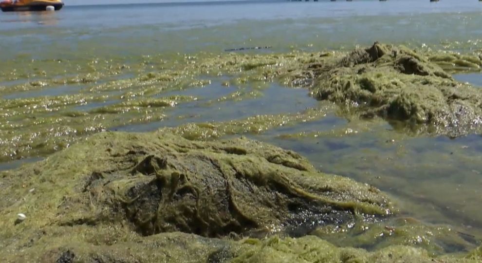 Уже не медузы: новые неприятности на морских курортах Украины после шторма