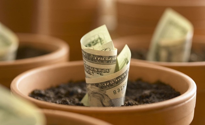 «Выращивали» секонд-хенд: запорожские налоговики разоблачили многомиллионную схему