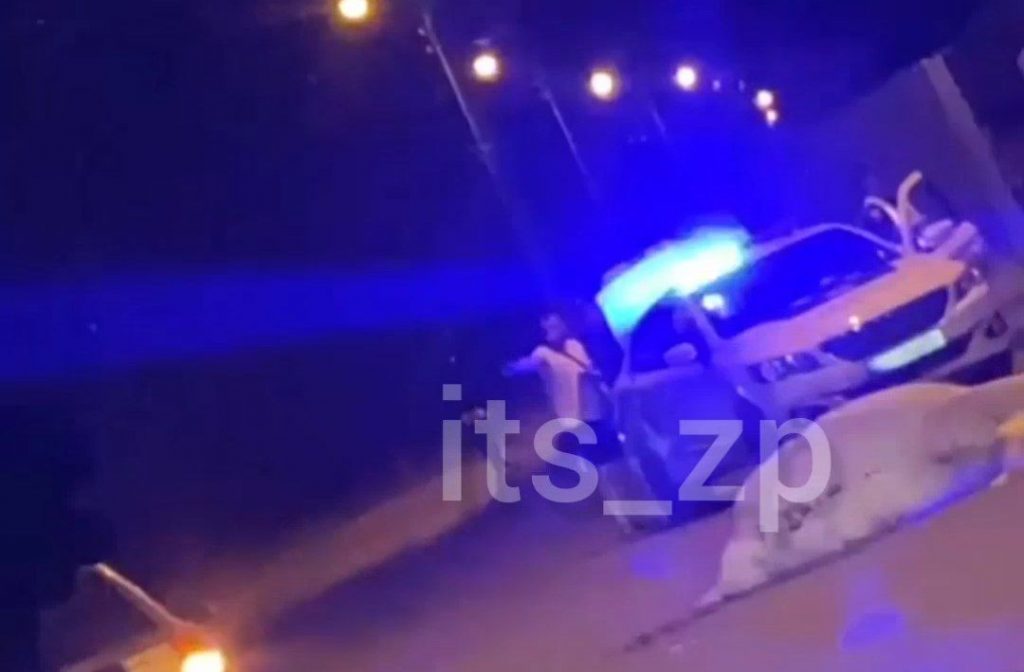 В Запорожье на острове Хортица авто насмерть сбило лошадь (ВИДЕО)