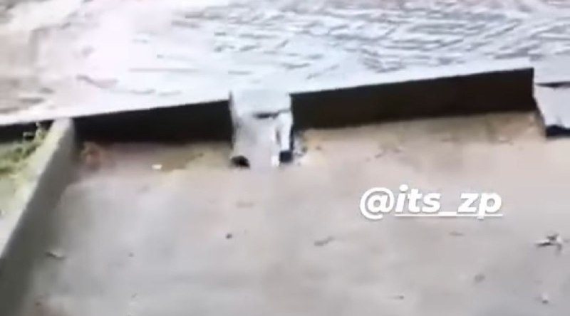 В центре Запорожья обнаружили «ливневку-муляж» (ВИДЕО)