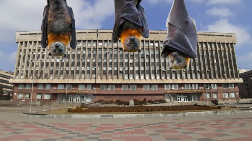 Не только тараканы: Запорожский облсовет атаковали летучие мыши (ВИДЕО)