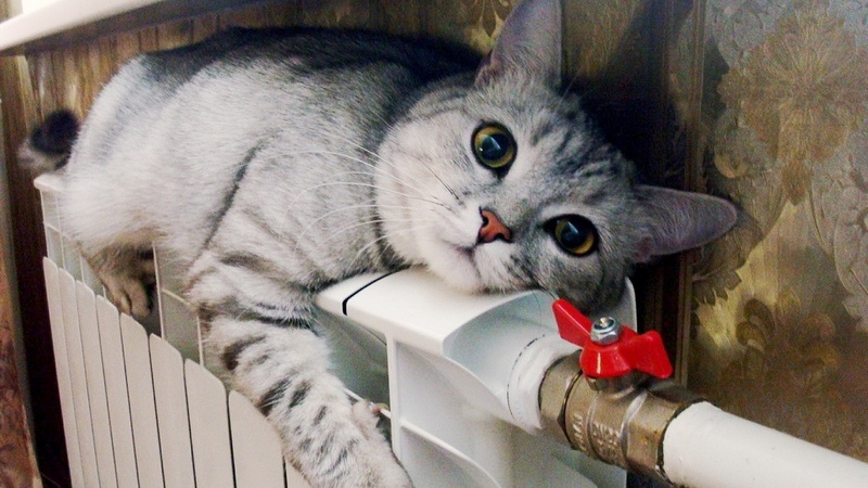 Отопительный сезон приближается: насколько к нему готово Запорожье