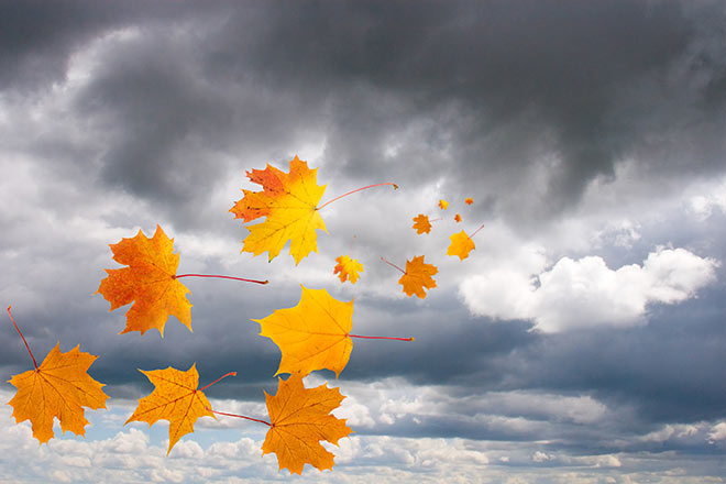 Резкое похолодание в августе и два «бабьих лета» осенью: прогноз синоптика