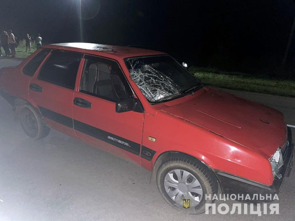 Пьяный водитель сбил женщину на обочине: полиция ищет свидетелей в Запорожской области (ФОТО)