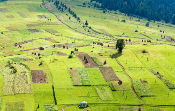 В Запорожской области прокуратура настаивает на возвращении громаде земельного участка стоимостью более 290 млн