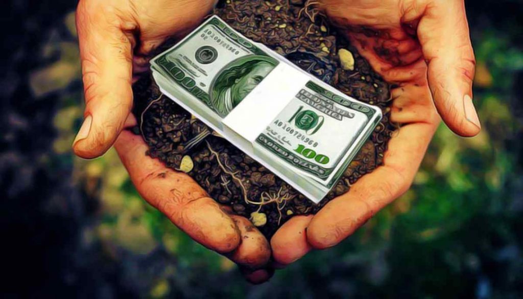 Сколько заработали жители Запорожской области на открытии рынка земли