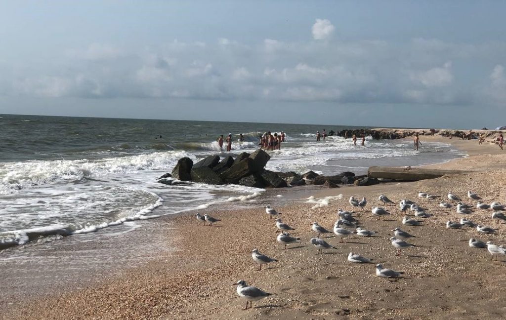 В Кирилловке не утихают волны: какая ситуация с медузами (ФОТО, ВИДЕО)