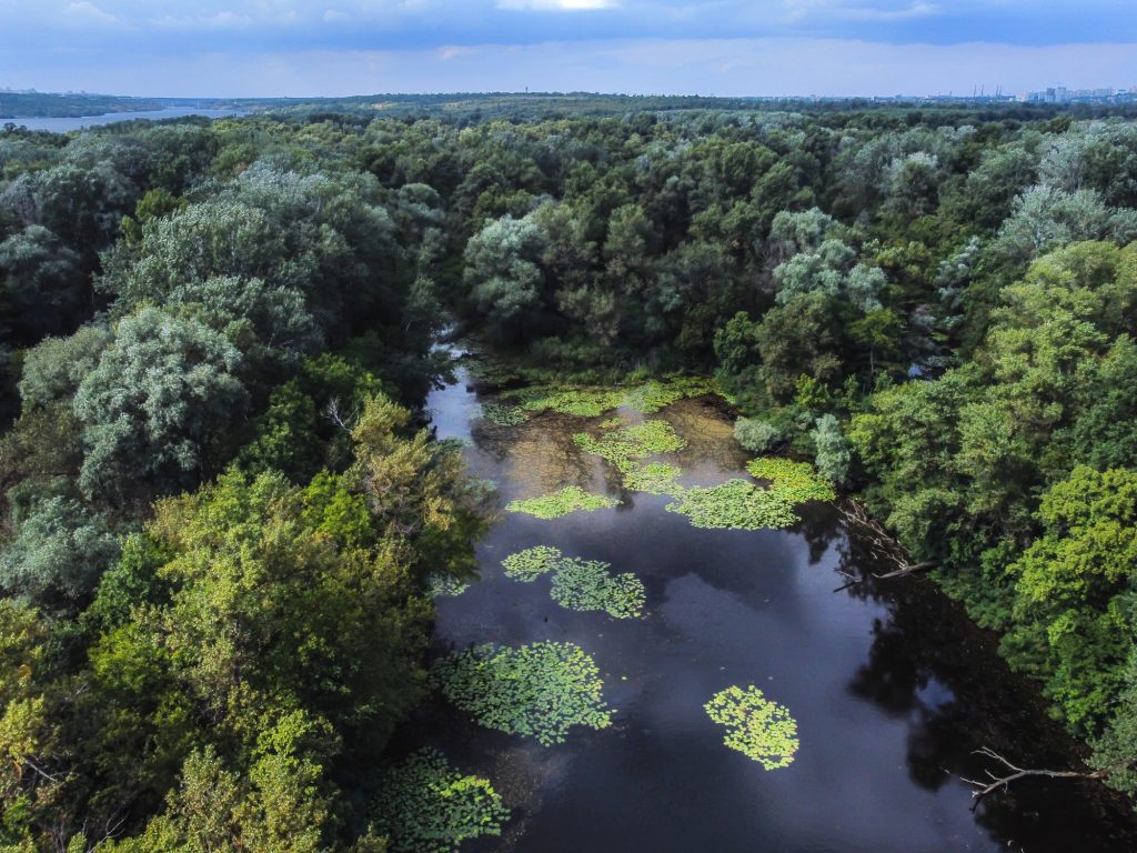 Фотограф запечатлел мистические Хортицкие озера с высоты (ВИДЕО)