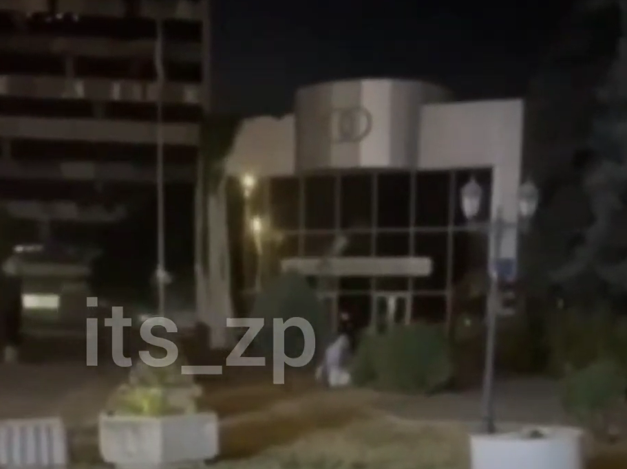 Курьезы: в Запорожье «ограбили» центральный ЗАГС — крали кусты (ВИДЕО)