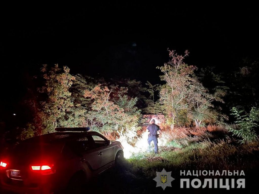 Toyota Prado перевернулся в поле подсолнухов: появилось видео погони с ДТП на запорожском курорте