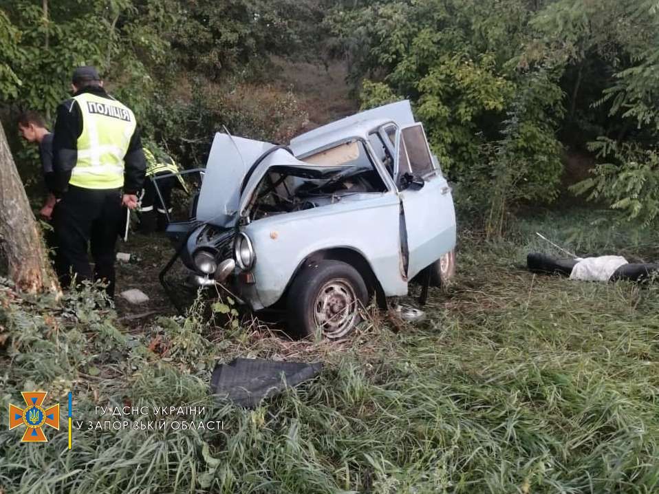 В Запорожской области 4-летний ребенок пострадал в ДТП: пассажирку зажало конструкциями (ФОТО)