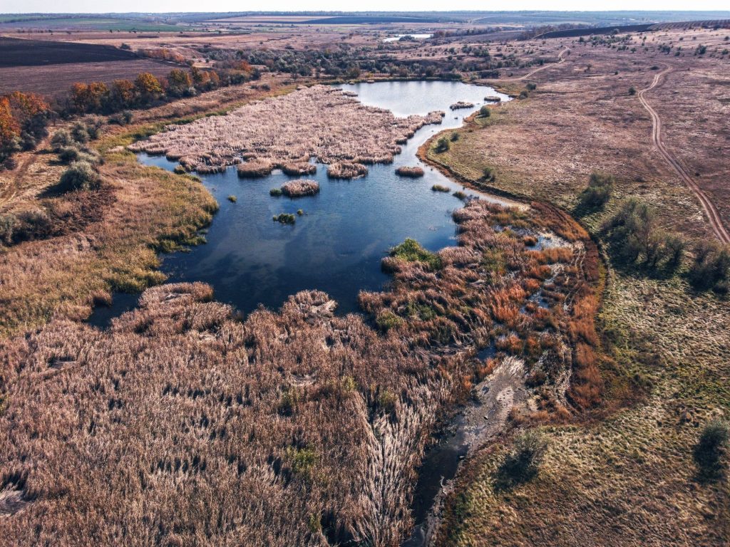 В сети показали с высоты остатки менонитской мельницы на реке под Запорожьем (ВИДЕО)