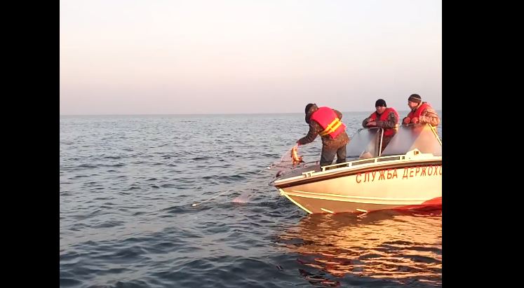 Как в нацпарке «Великий Луг» вынимали браконьерские сети и выпускали рыбу (ВИДЕО)