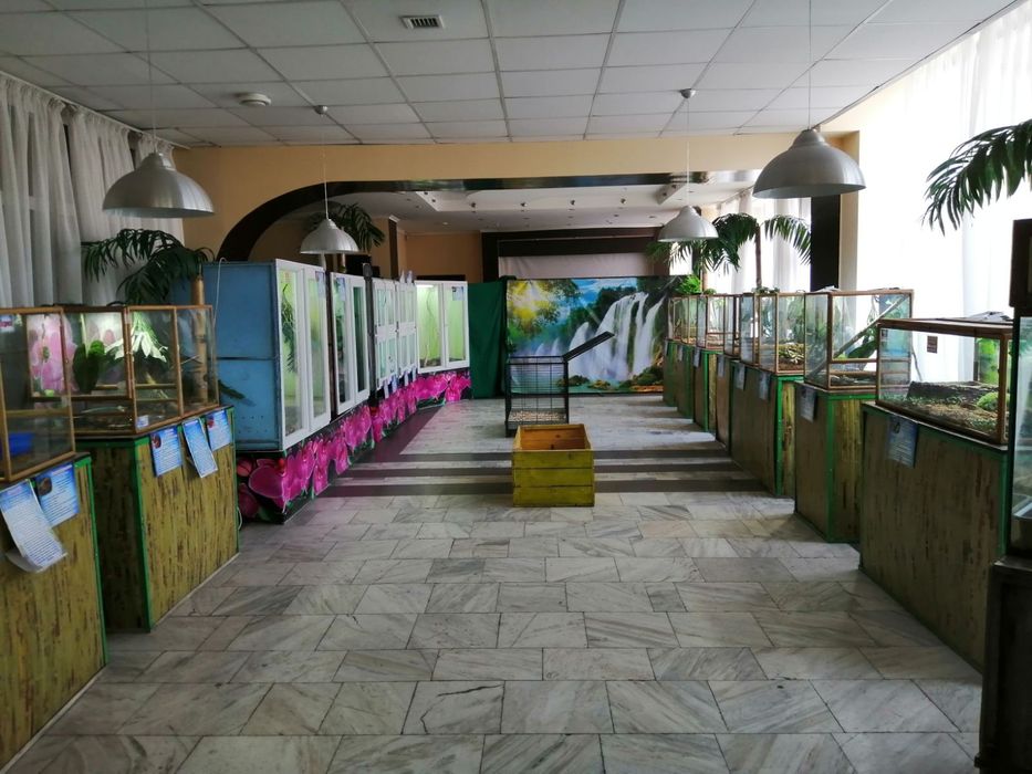 В Запорожье продают выставку «Змеиная ферма»: цена и фото