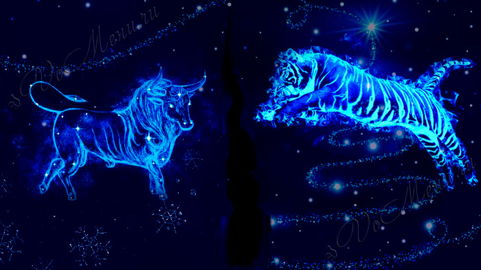 Цвет Нового года — 2022: в чем встречать праздник