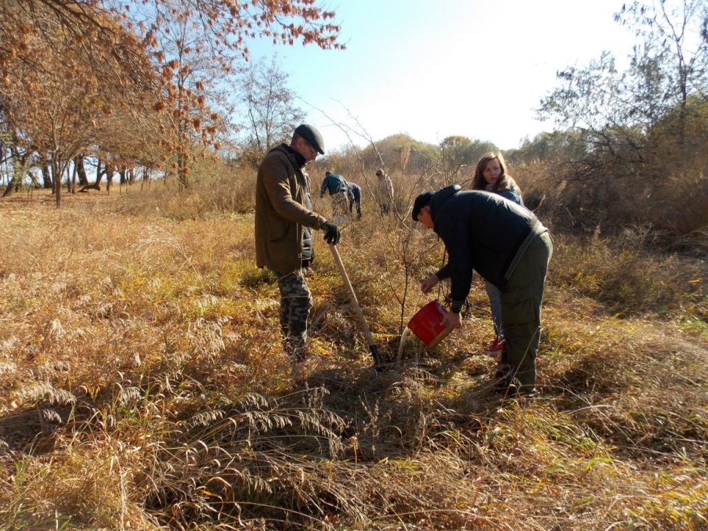 На территории Национального парка «Великий Луг» высадили 100 деревьев (ФОТО)