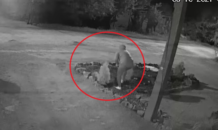 В Запорожье орудуют ночные охотники за чужими кустами: раскопки попали на ВИДЕО