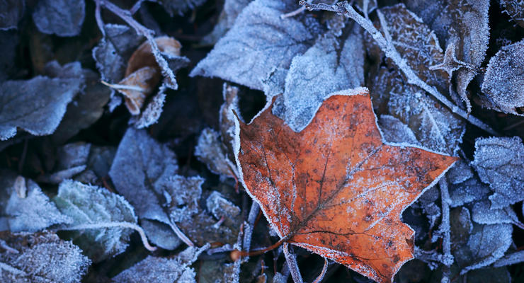 Первые морозы: завтра в Запорожье резко похолодает