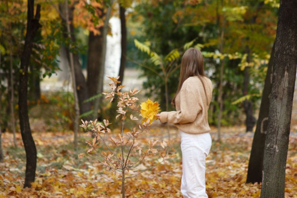 когда в запорожье потеплеет