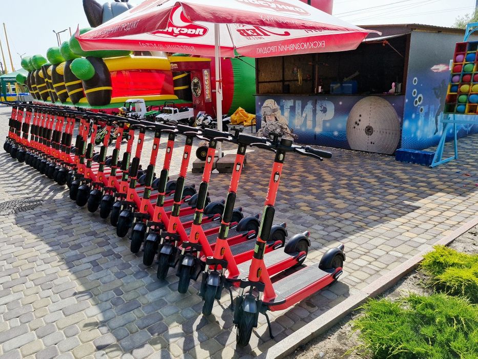 В Кирилловке выставили на продажу готовый бизнес на лето (ФОТО)