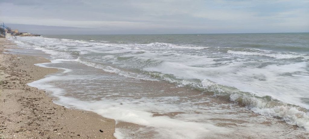 Кирилловка в декабре: на косе Пересыпь исчезли медузы (ВИДЕО)