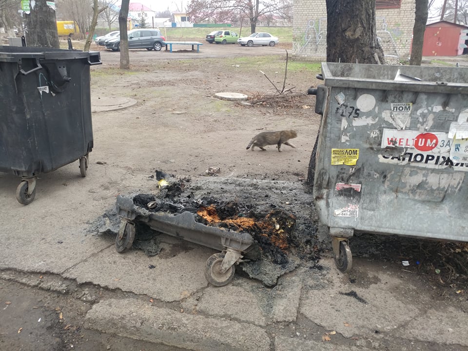 Минус один: в Запорожье сгорел мусорный контейнер (ФОТО)