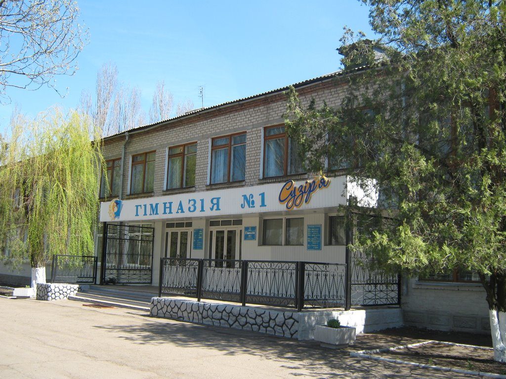 Школьный бухгалтер получила тюремный срок в Запорожской области