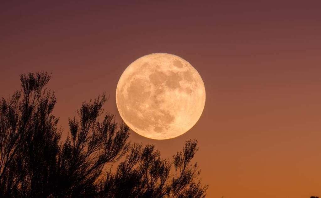 Зимнее полнолуние 16 февраля: что нельзя делать в этот день