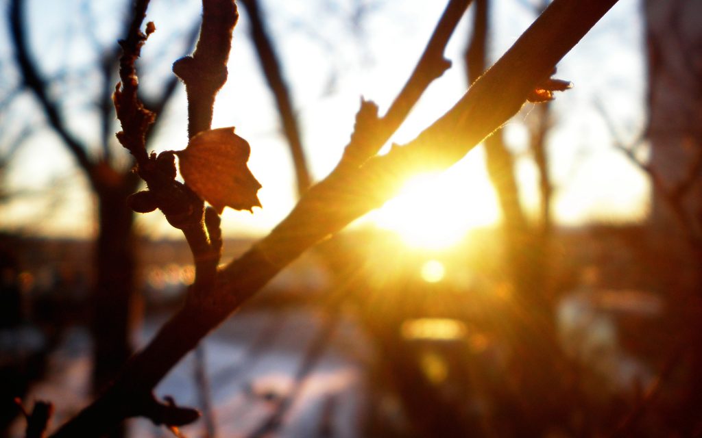 Напоминает апрель: новый прогноз погоды для Запорожья на конец января