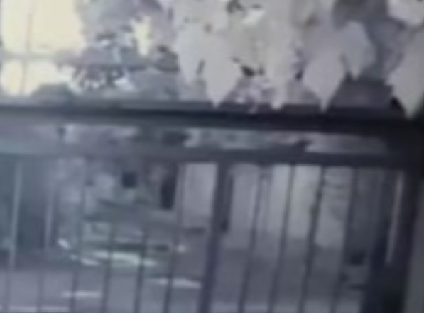 У Запоріжжі поліція встановила двох нічних крадіїв (ФОТО, ВІДЕО)