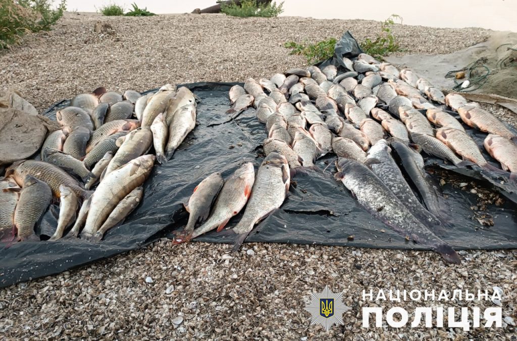 Під Запоріжжям браконьєрів упіймали на «гарячому» (ФОТО)