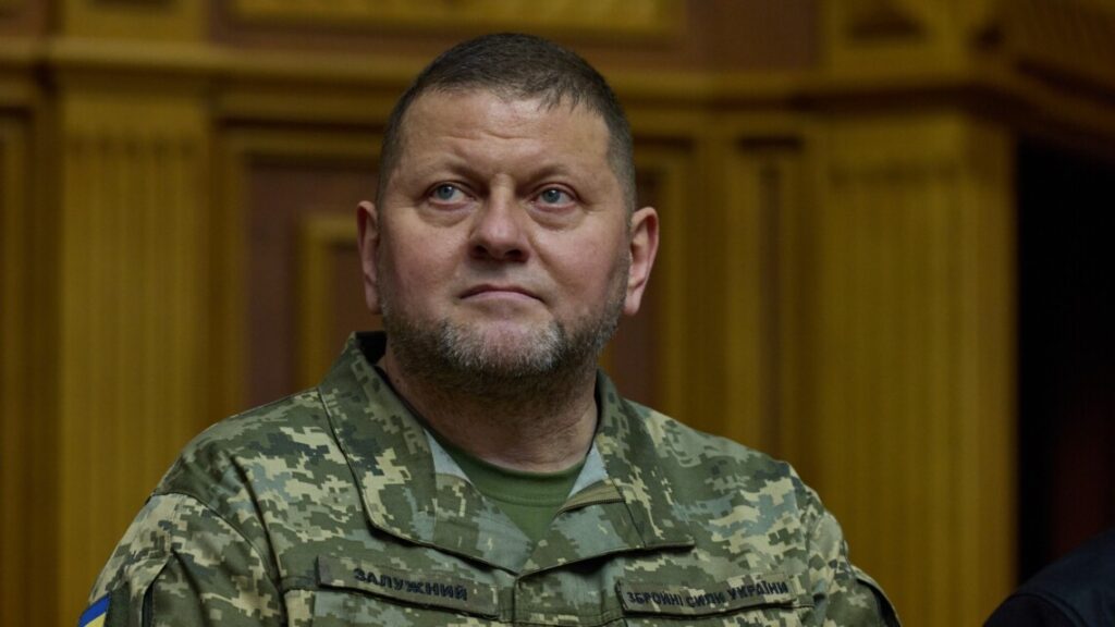 Залужний прокоментував статтю про захоплення рф Запоріжжя до кінця 2026 року