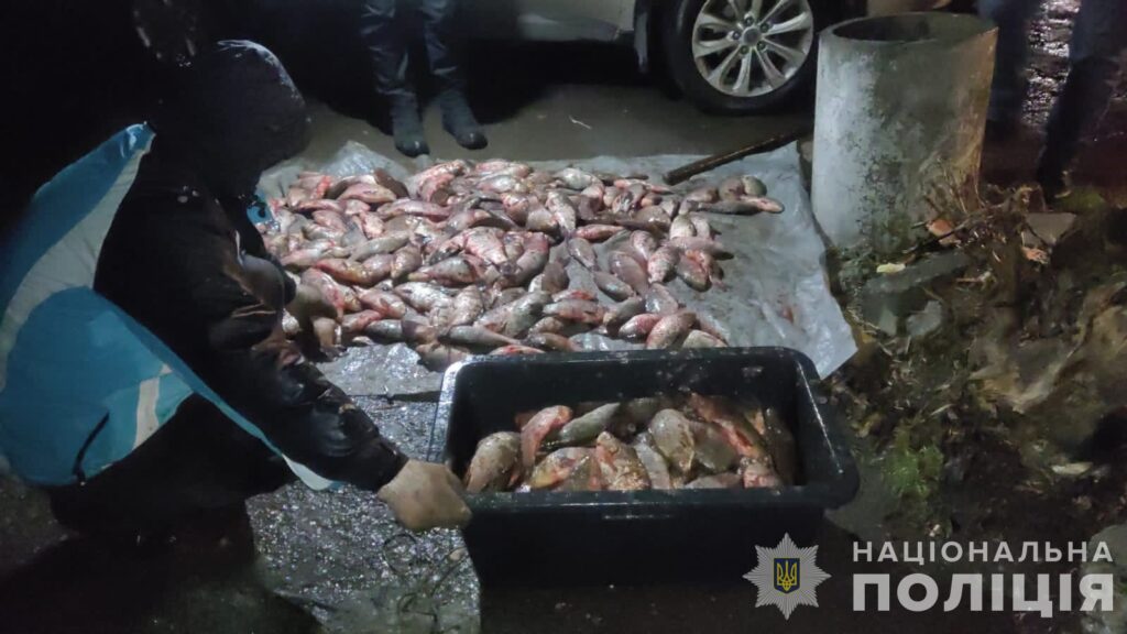 Під Запоріжжям браконьєри виловили півтонни риби на 1,5 мільйона гривень (ФОТО)